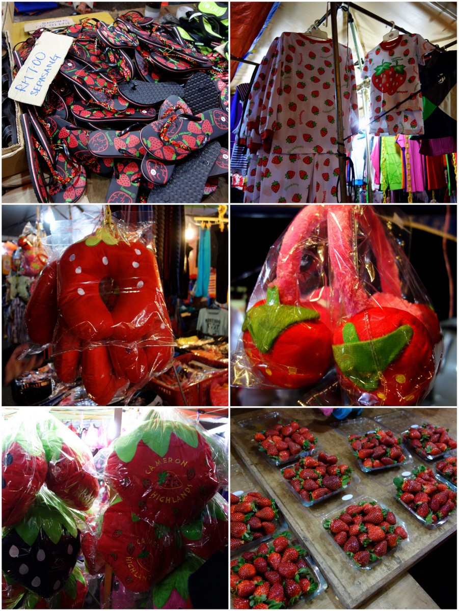 2013-03-27 Cameron Highlands