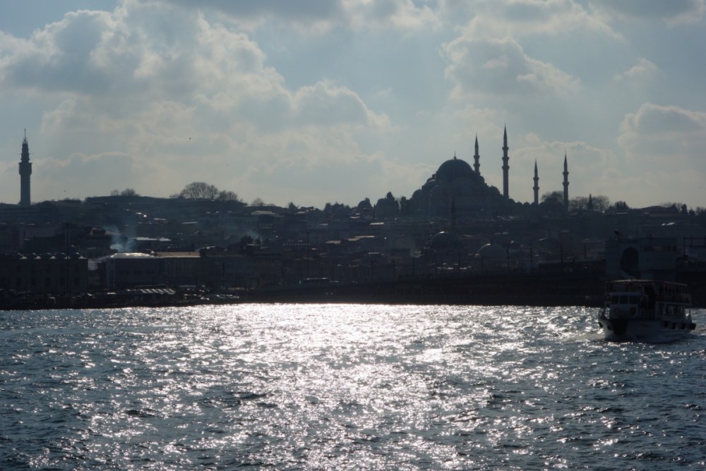 22-DSC03819