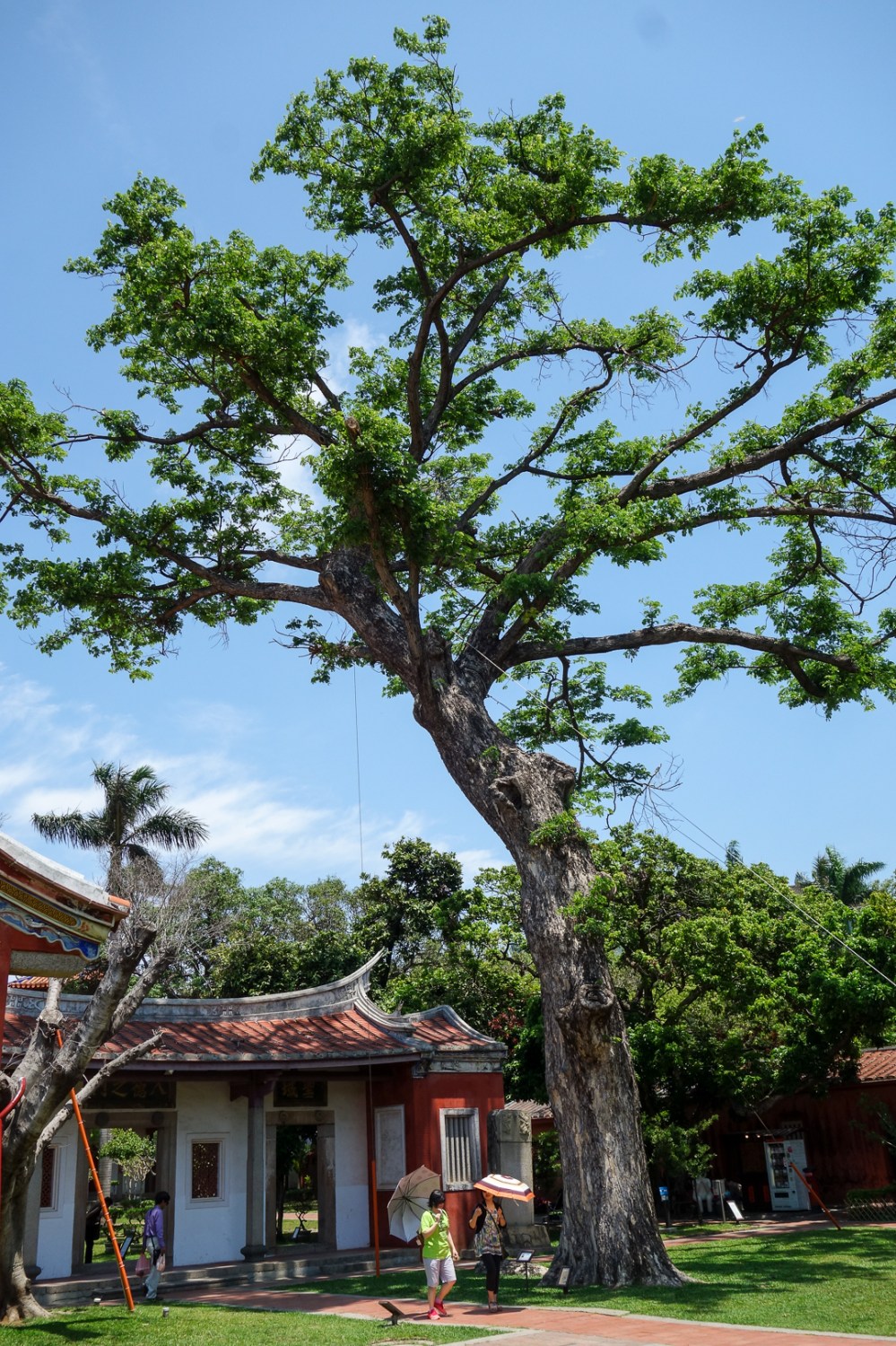 059-DSC01185-Tainan